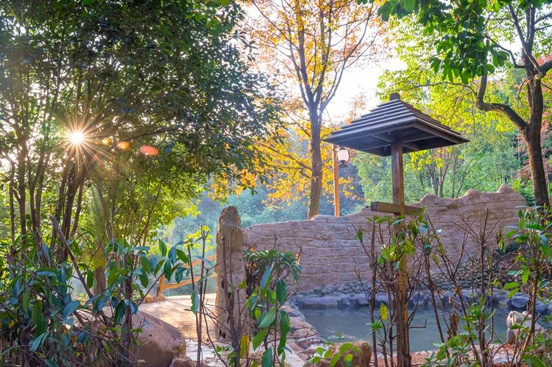 武汉周边温泉旅游景点推荐,武汉市附近最好玩的温泉