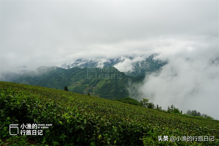 陕西西安旅游自驾攻略,西安踏青自驾游的绝佳去处两日游