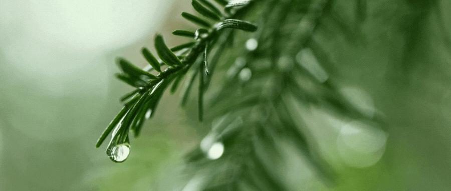 最新消息苏宁家乐福被阿里收购,苏宁收购家乐福现状