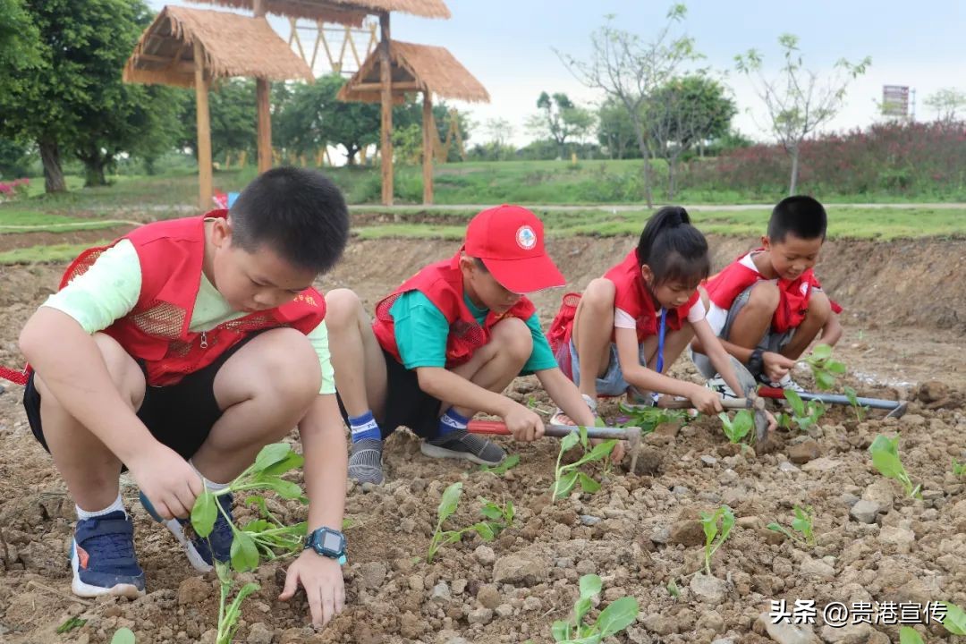 前“兔”无量！永不停歇的脚步……