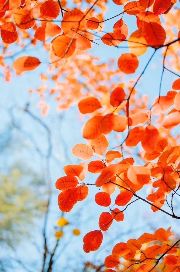 这样回你微信的人真的不在意你,这样回复你微信的人就是瞧不起你