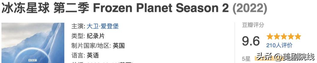 2020年上半年这25部好剧推荐给你,剧荒了求好看的电视剧2020免费