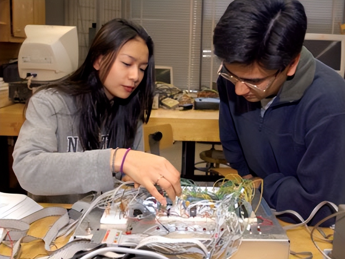 本科十大高薪大学专业,本科毕业生十大高薪排行榜