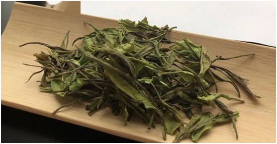 茶叶存十年是否是好茶,为什么好的储存对老茶至关重要