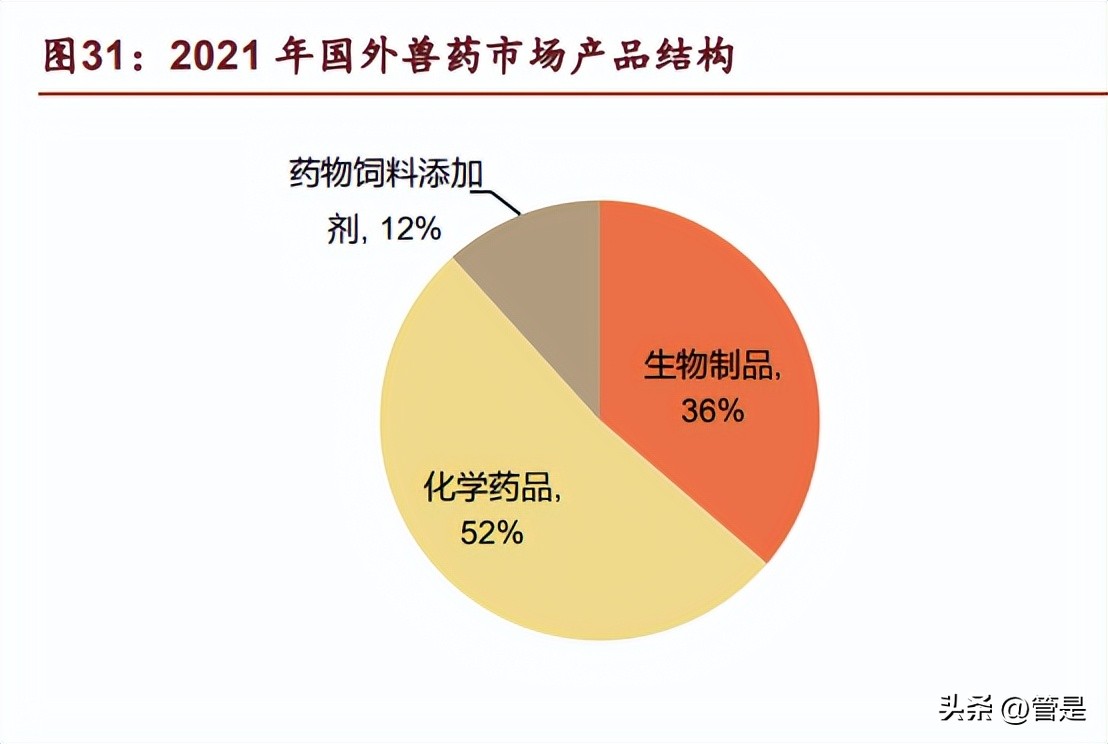 生物股份年报详解,生物股份2024年分析