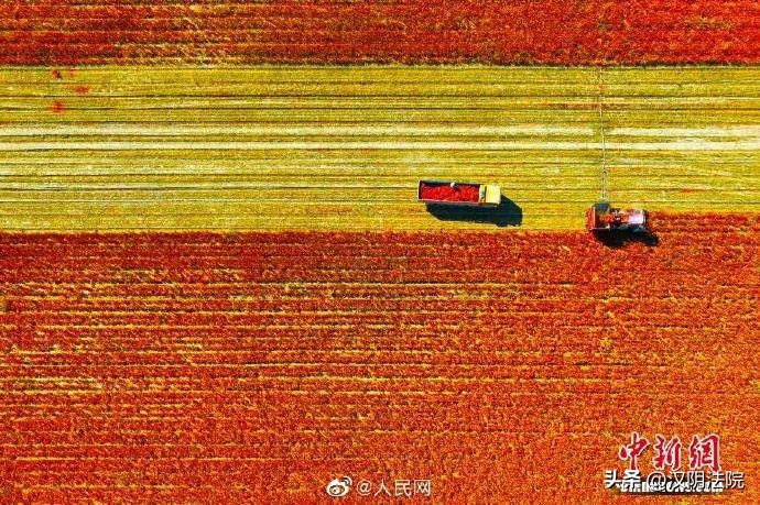 西安新增活动轨迹最新消息,西安最新活动轨迹