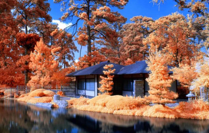 地产人速写61：从女篮时隔28年再次问鼎世界杯决赛想到的