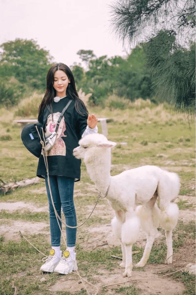 鼓浪屿可以当天预订船票攻略 (鼓浪屿还有免费的船票吗)