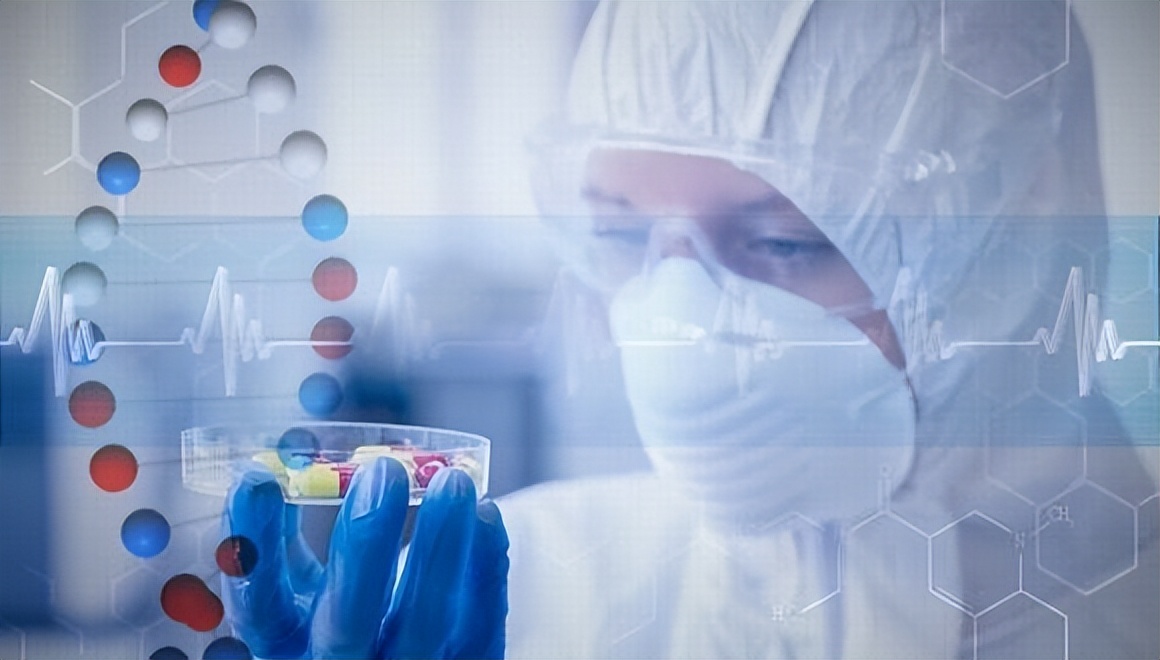 实验猴价格暴涨20余倍,实验猴价格飙涨20倍的原因