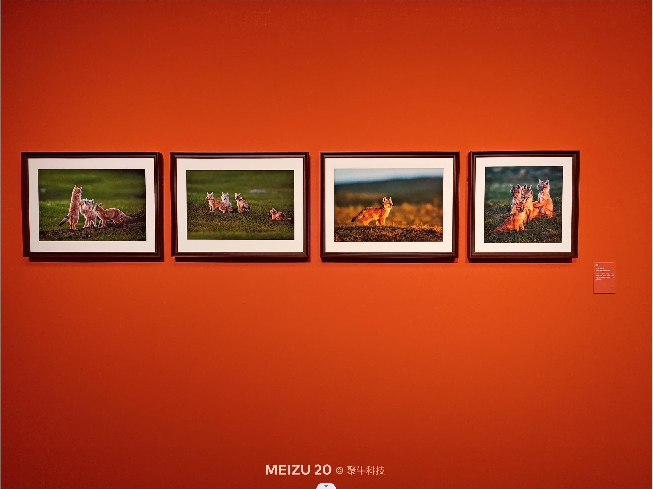 魅族20classic和魅族20差异,魅族20标准版有什么缺点