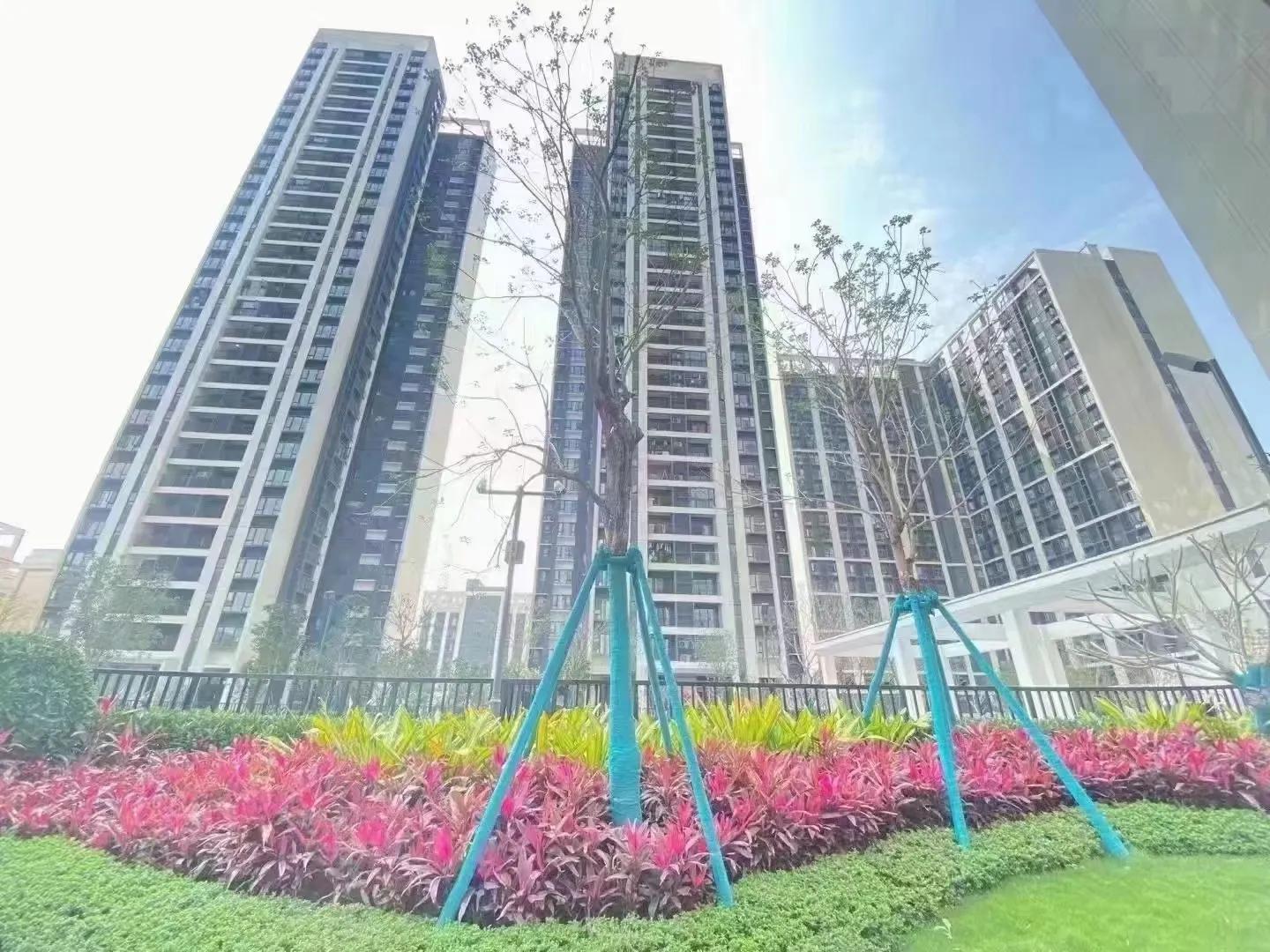 佛山首付2万买精装三房,佛山笋盘首付6w入手大三房