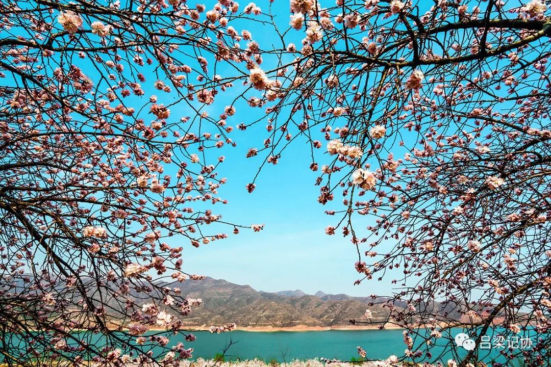 我的吕梁我的城微视频,我的吕梁我的城作品征集