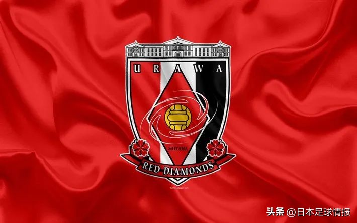 2024赛季日职联各队巡礼,2022日职联赛巡礼