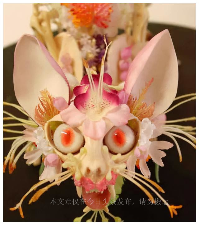 500种最美鲜花,40余种奇异的鲜花欣赏