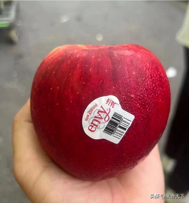 众成三号苹果新品种,最新最全苹果新品种