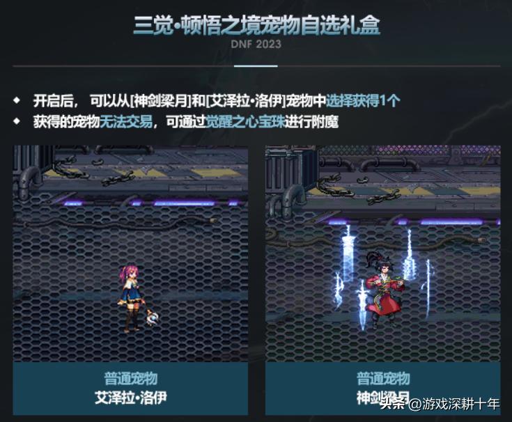 dnf新春礼包2024至尊光环如何获取,dnf新春礼包2023宠物名望