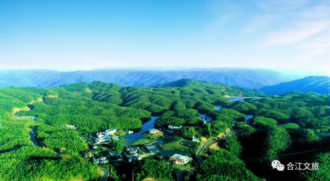 合江古镇荔枝节,合江荔枝节安排