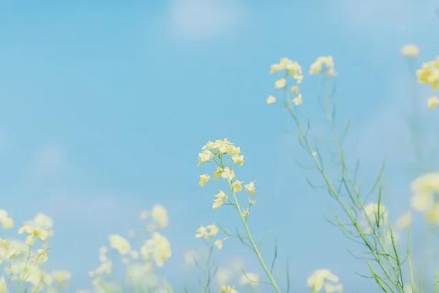 告别2021迎接2022新年的祝福,送走2021迎来2022祝福文案