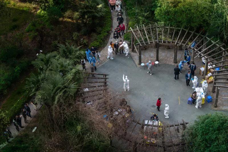 感谢核酸检测志愿者们的辛苦付出,核酸现场志愿者美丽的身影