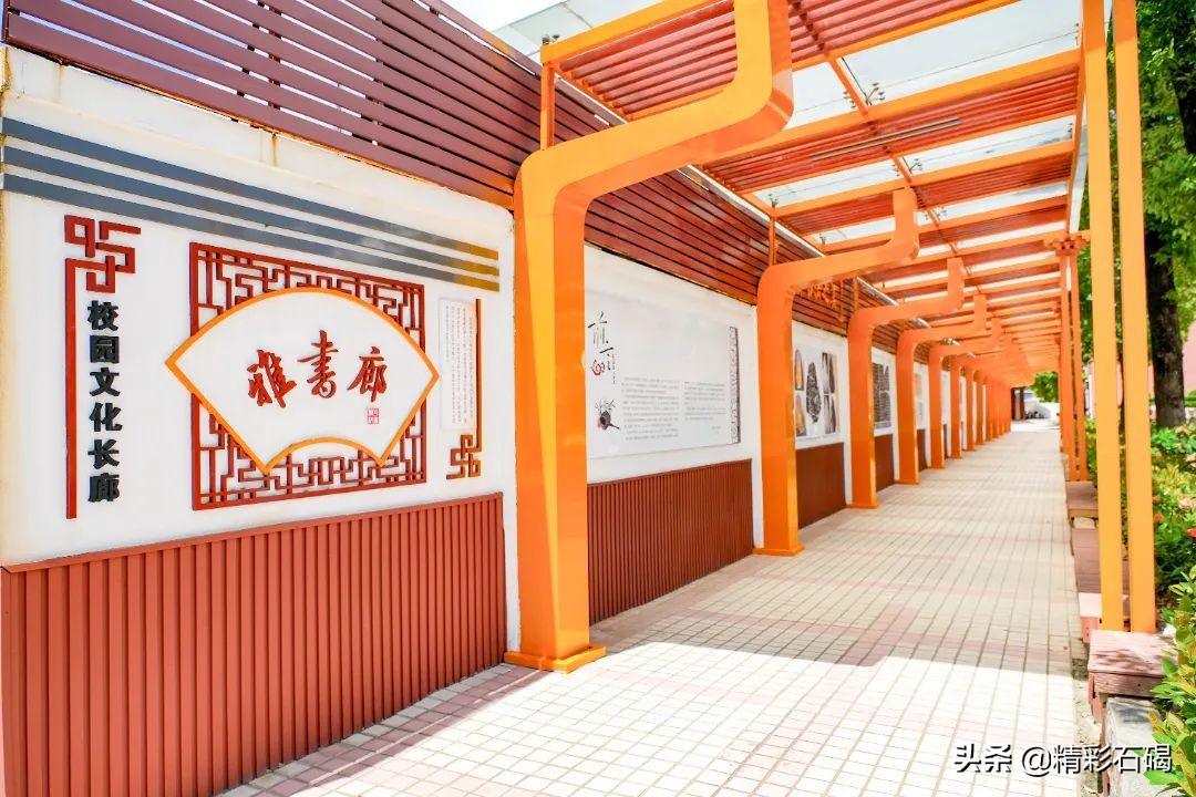 东莞石排四海学校招生,石碣四海学校