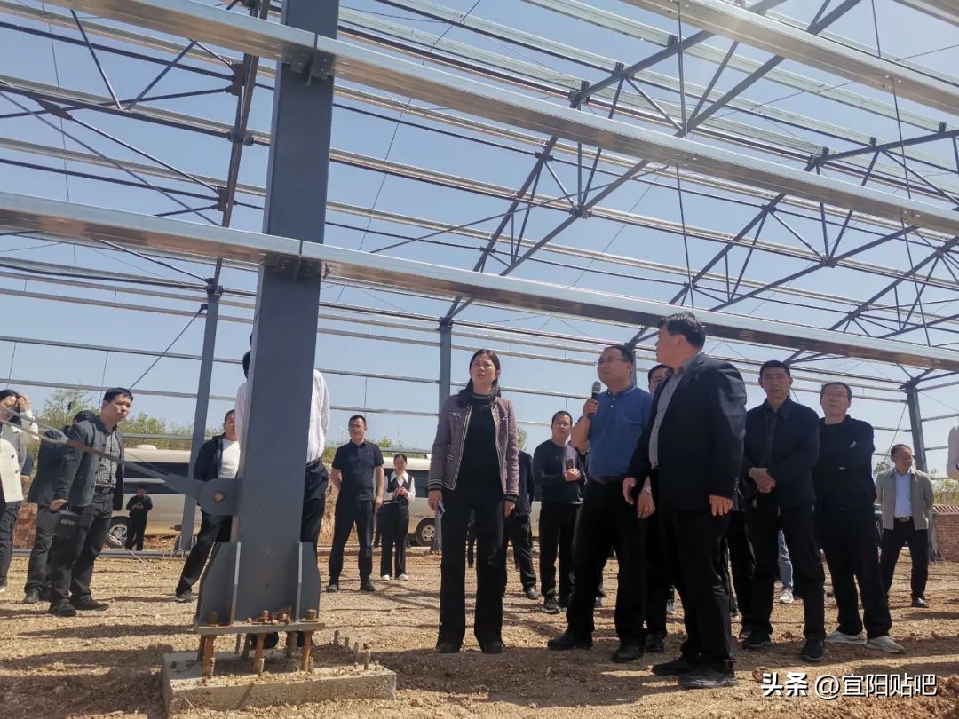 宜阳县克村乡村振兴,河南省辉县市乡村振兴