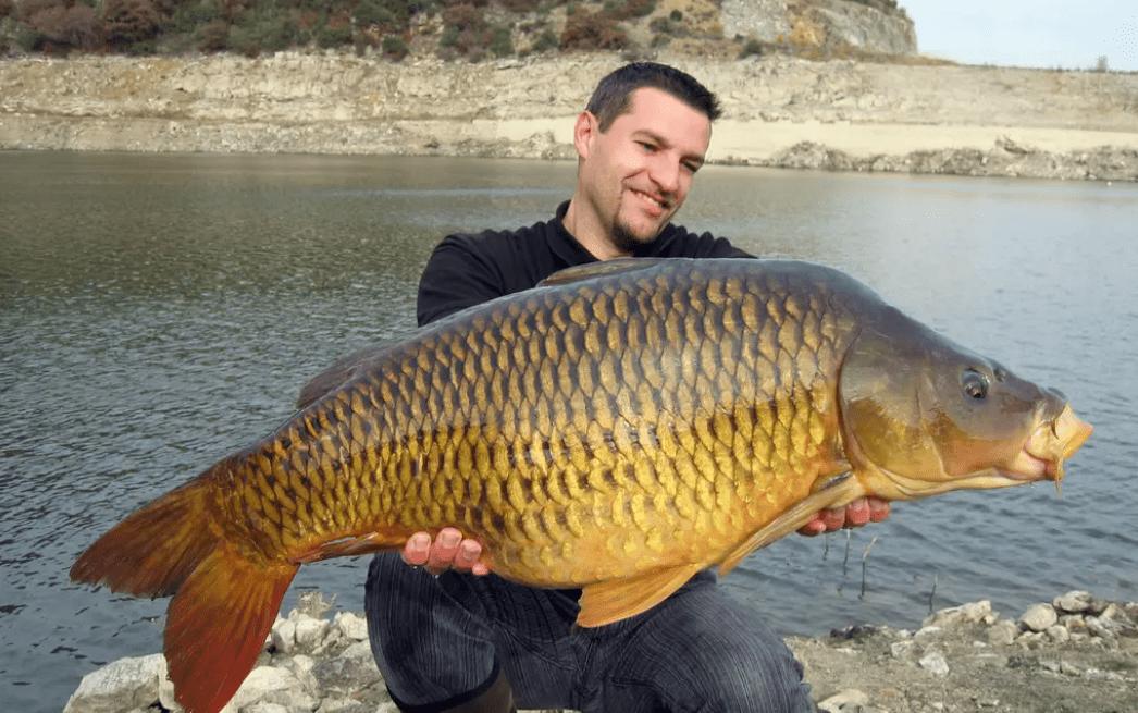三峡大坝里面最大的鱼有多大,三峡大坝里最大的鱼