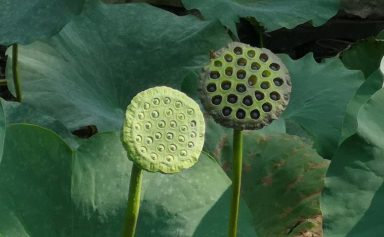 人老了才明白，关系再好，也不要让亲戚住在自己家