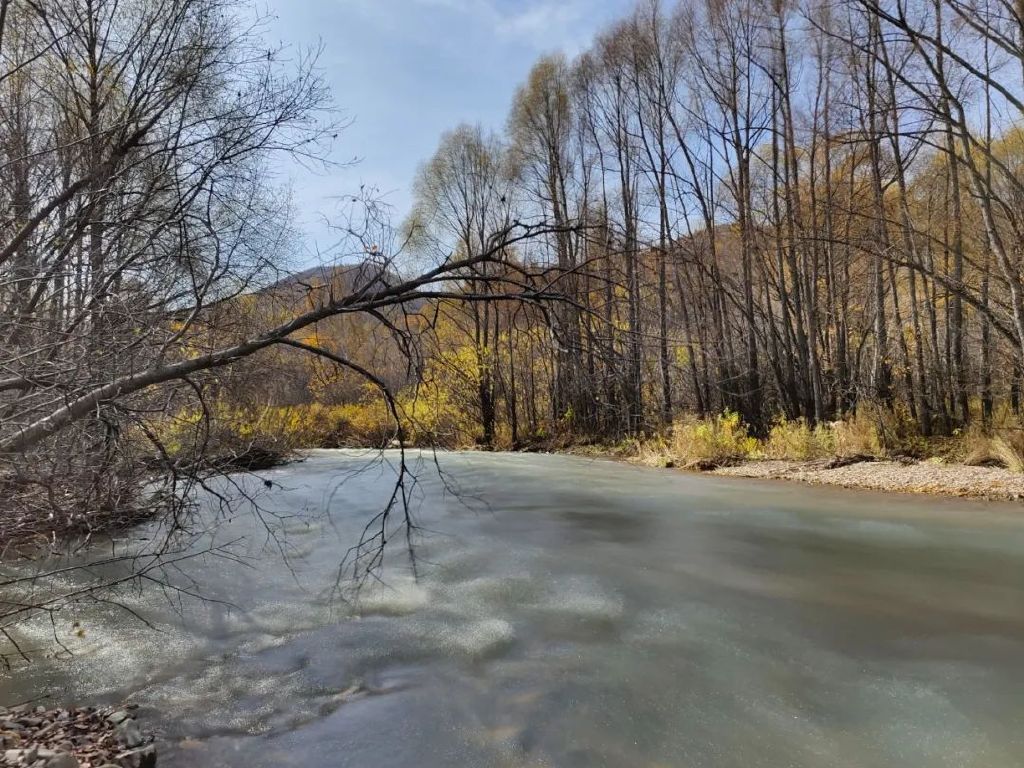 谁是影像机皇,谁才是手机机皇