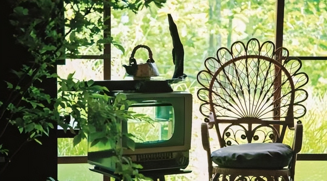 乡村复活，有的卖“最美星空”，有的凭一只熊，躺赚76.3亿？