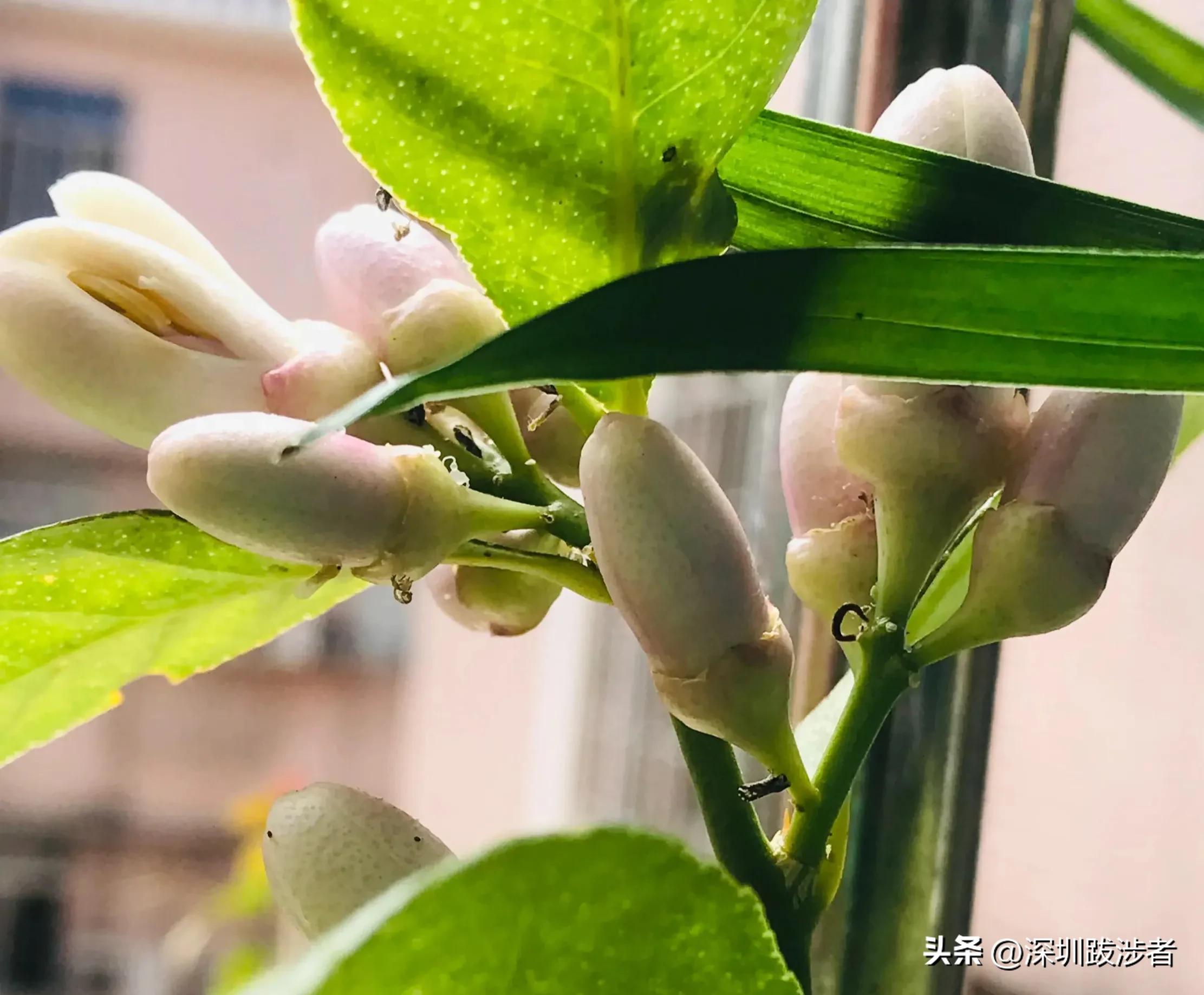 人口危机怎么避免,怎样缓解人口危机