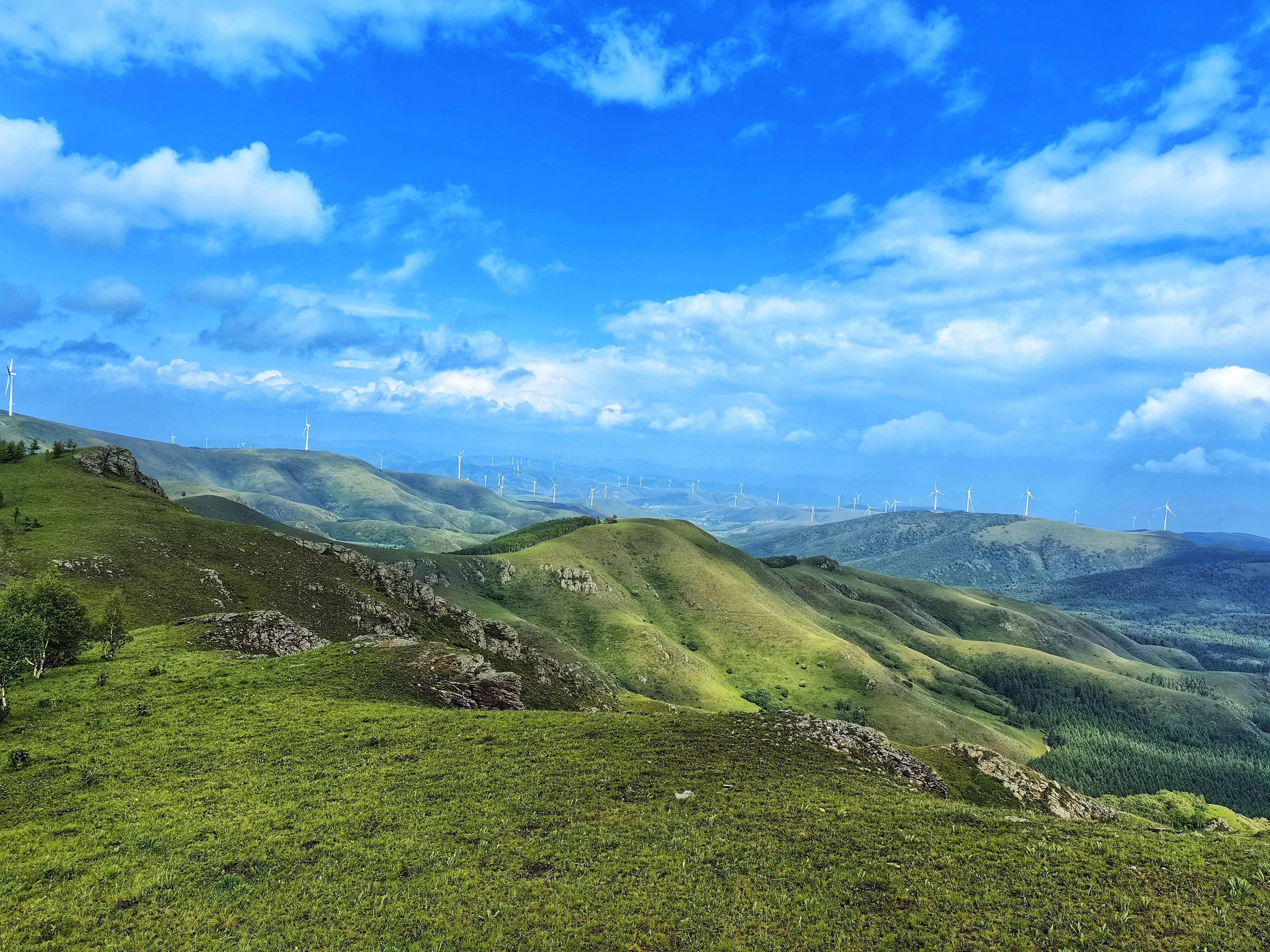 柳树沟稀树草原营业了吗,云中草原