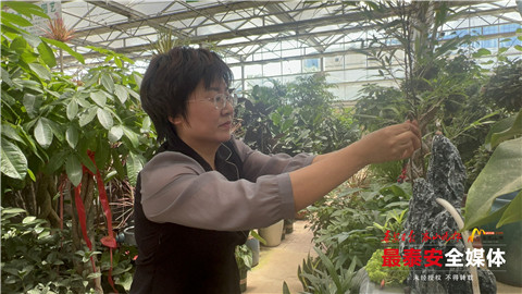 乐业*安泰**丨智能大棚里种出创业致富花！德州籍大学生扎根*安泰**白手起家