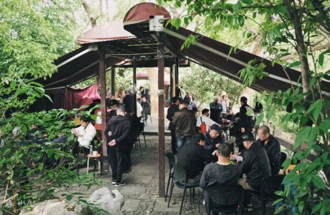 在杭州，会玩的人夏天都来这了