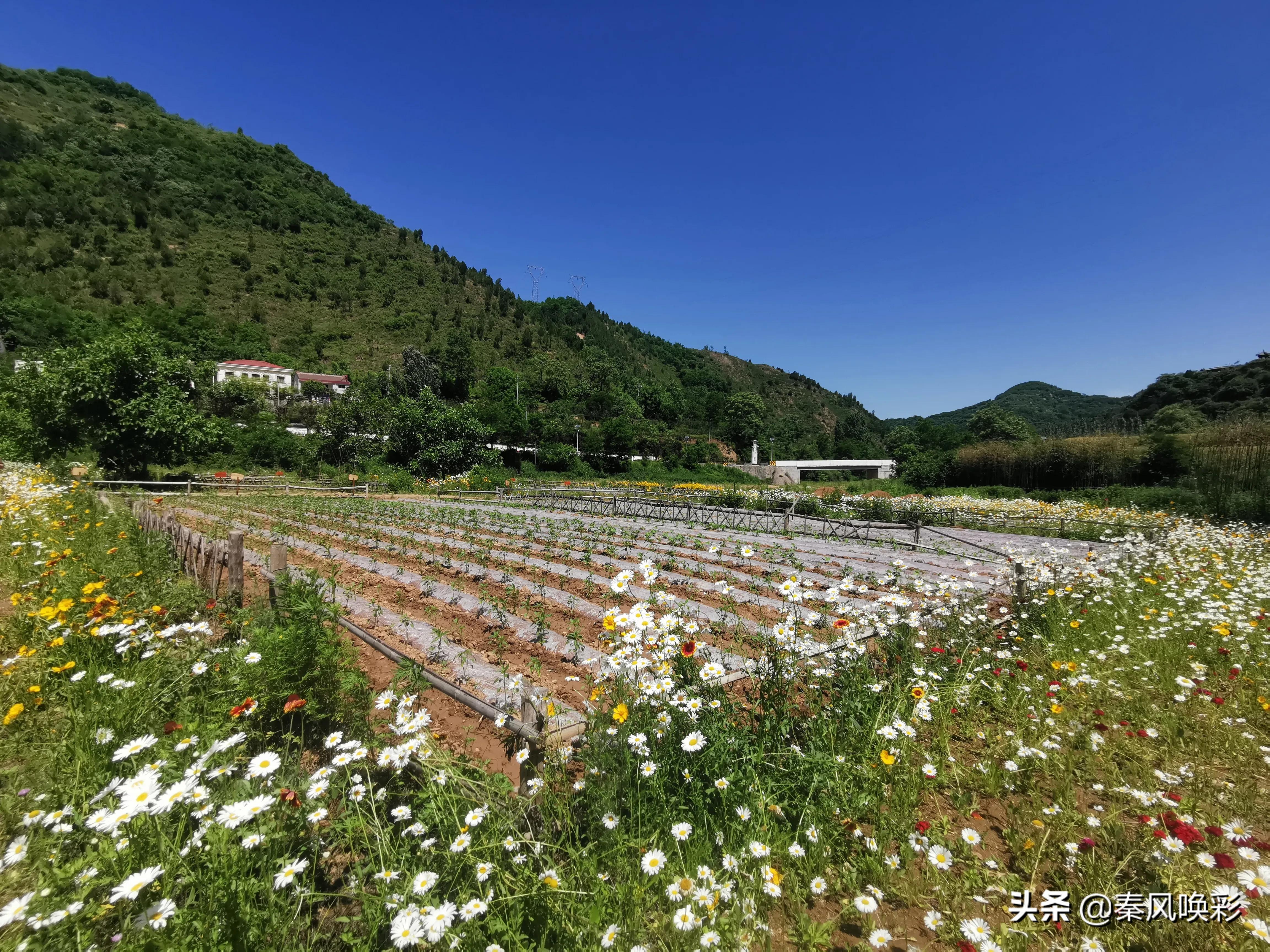 上川印象（20220528）