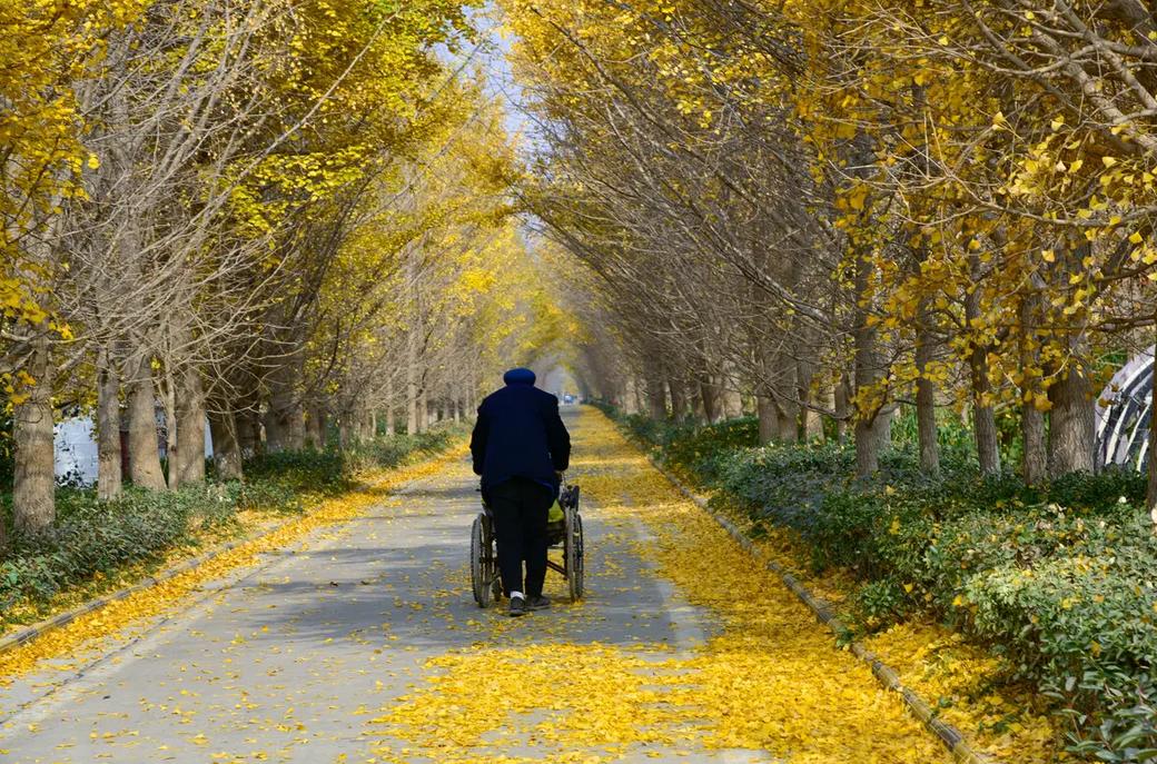 80年代计划生育养老政策,第一批计划生育