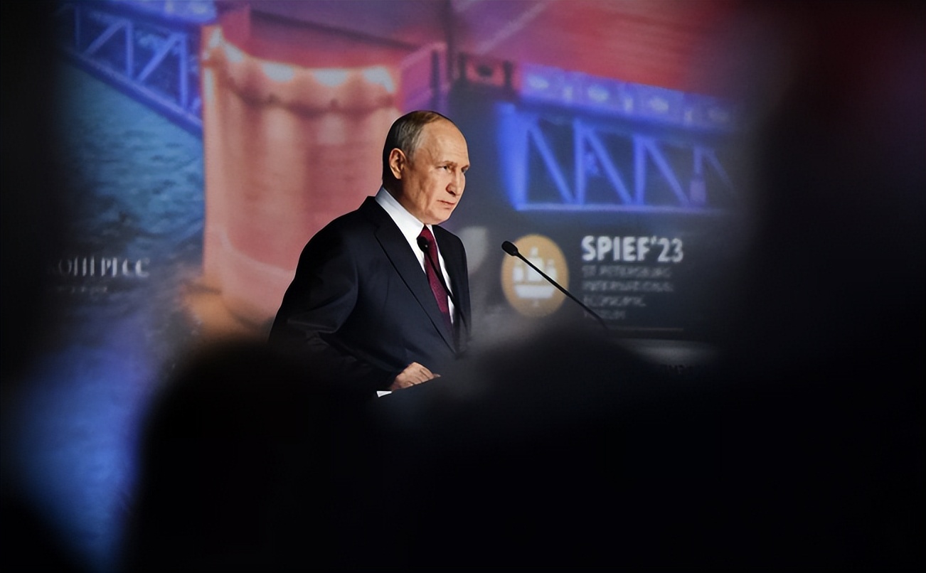 普京对俄施压的看法,普京对俄施压的回应