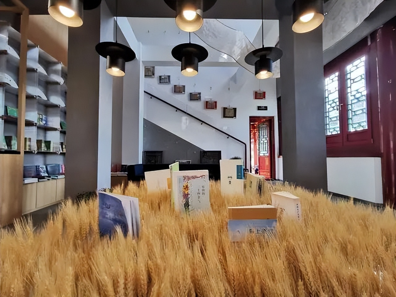 北京户外公园,北京周末好去处户外