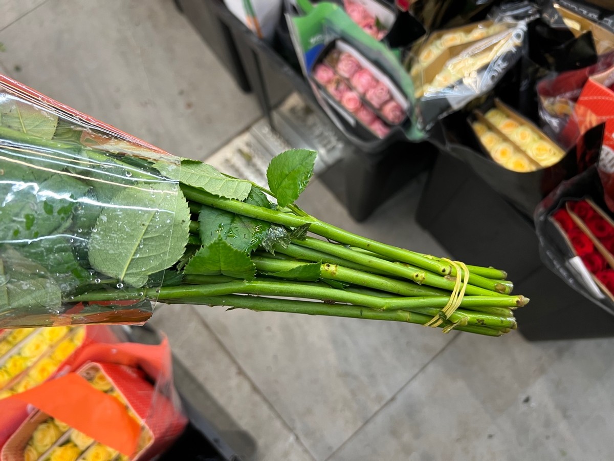 国庆走访武汉网红花市：小红书爆款“卡布奇诺”花涨价，店主预计降温后买花人会更多