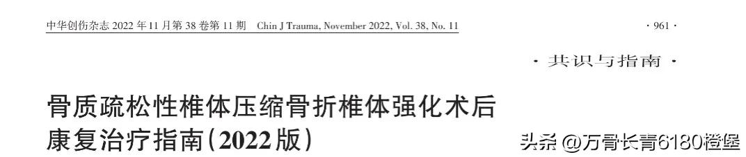 骨质疏松性椎体压缩骨折椎体强化术后康复治疗指南,2022版）