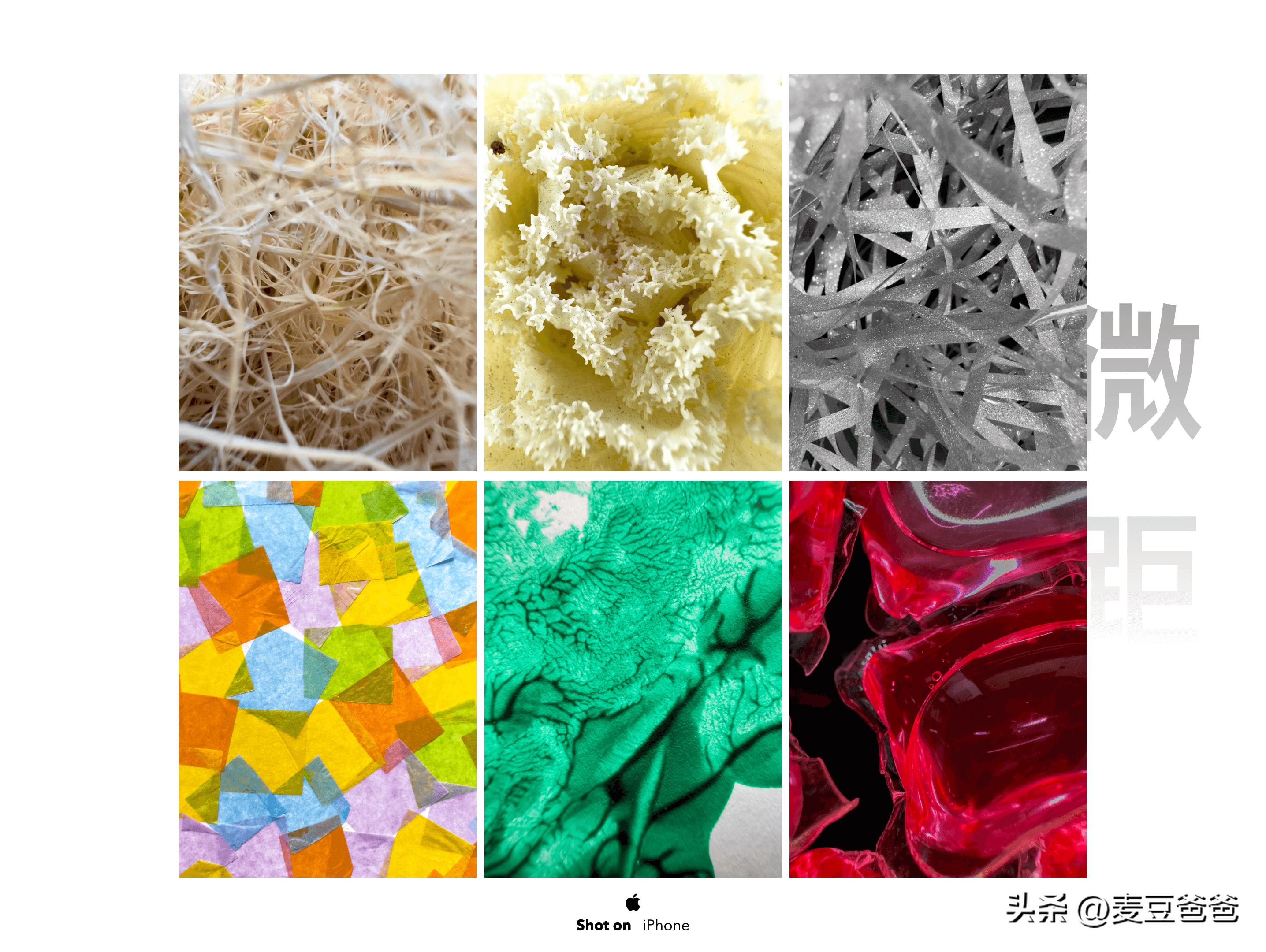 如何利用苹果14手机拍高清图片,iphone14如何拍出好看照片