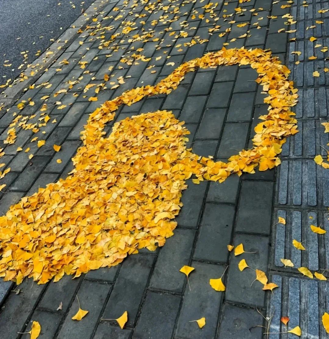 朝花夕拾好词好句,朝花夕拾阿长与山海经