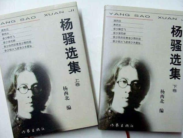 杨骚：热爱祖国的多情歌手，被一场无果之恋涂抹得面目全非