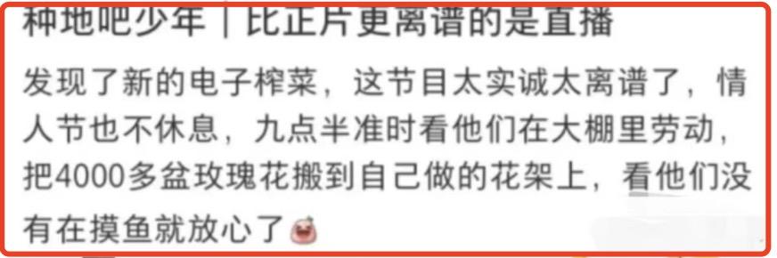 种地吧网友评价,种地吧观众评价