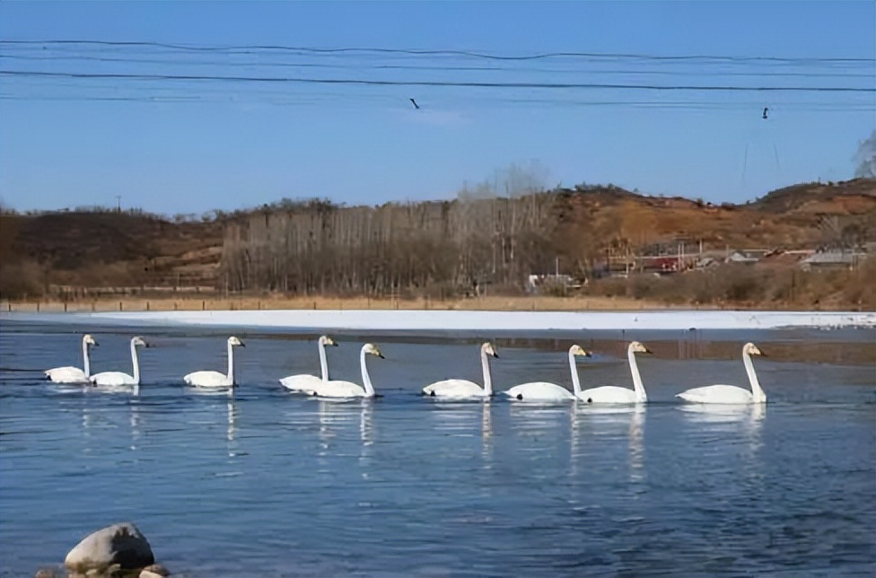 北京长城风景区游玩攻略,北京密云野长城旅游攻略
