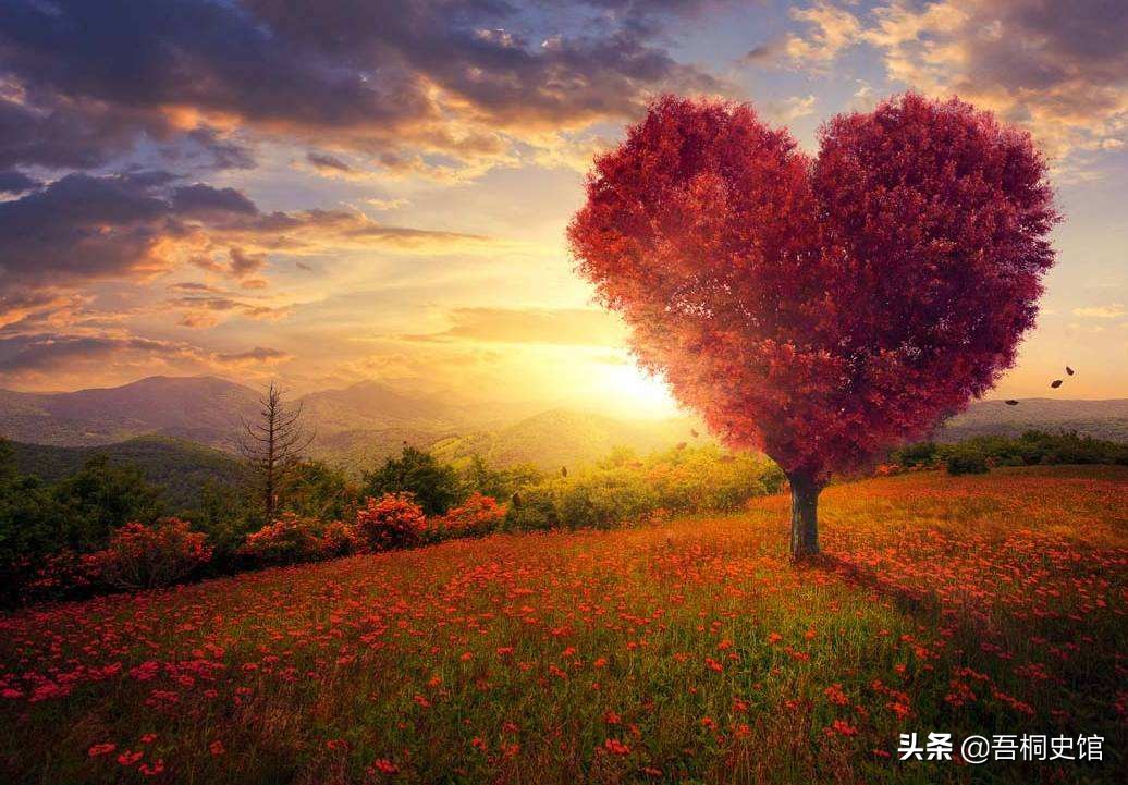 吉林接葬人王亮，2年接2000具遗体俗称“清道夫”，揭秘忌讳职业