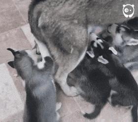 女朋友过生日送七夕礼物,女朋友送我生日礼物感动哭了