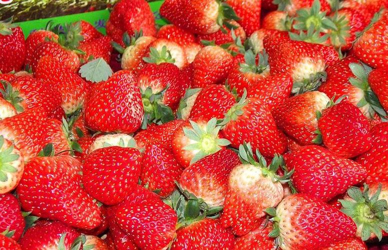 营养最丰富的10种水果推荐给大家,营养最丰富的10种水果排行榜