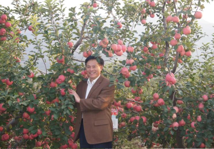 安泰集团新闻,安泰最近的新闻