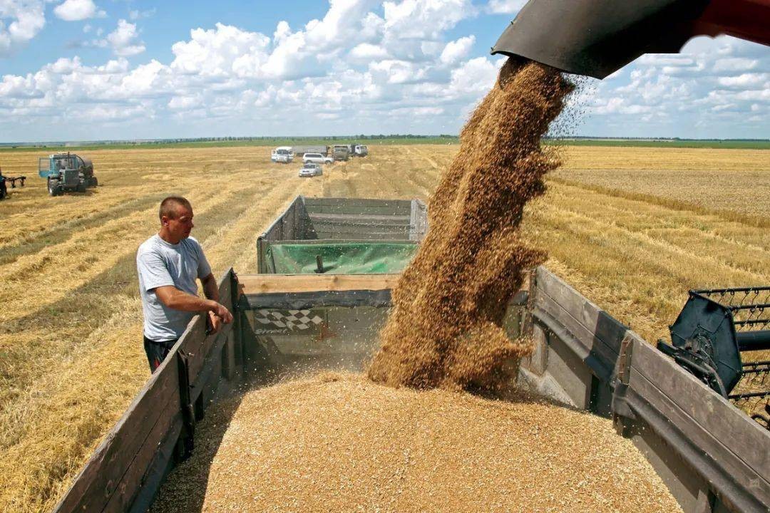 乌克兰创造的军事纪录,乌克兰现在还有顶尖军事技术吗