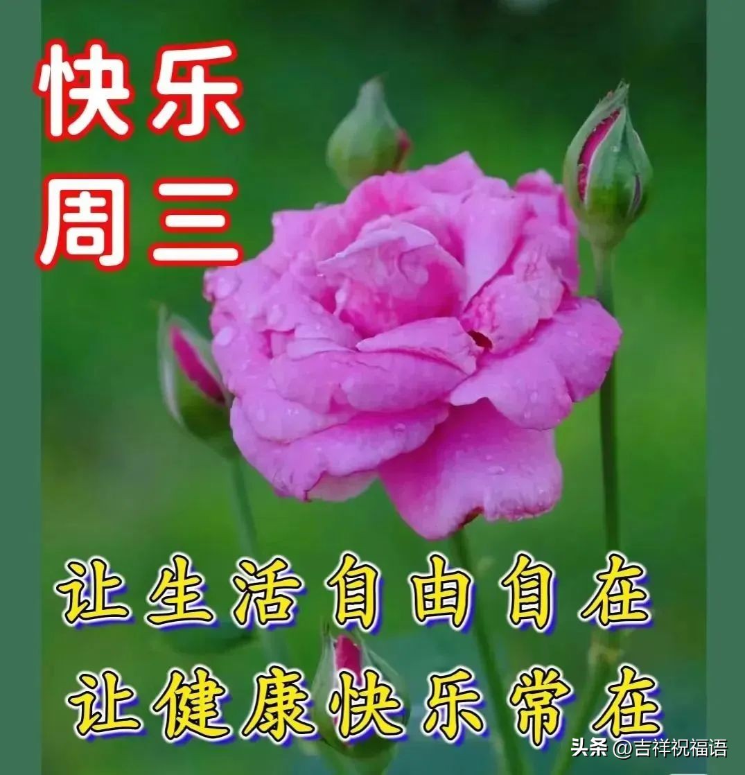 早上好温馨问候最漂亮表情包,每天换图片的早上好问候表情包